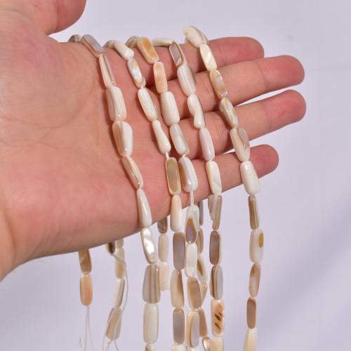 Trochus perles, Haut Coque, Irrégulière, DIY Vendu par brin