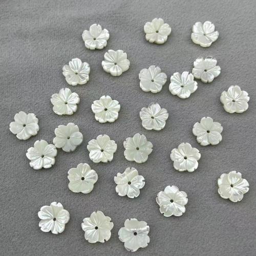 Meer-Muschelperlen, Turbanschnecken, mit Weiße Lippenschale, Blume, DIY & verschiedene Größen vorhanden, weiß, 5PCs/Tasche, verkauft von Tasche