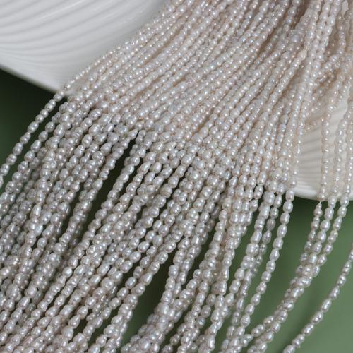 Perles nacres baroques de culture d'eau douce , perle d'eau douce cultivée, Irrégulière, DIY, About：3-4mm, Vendu par brin[