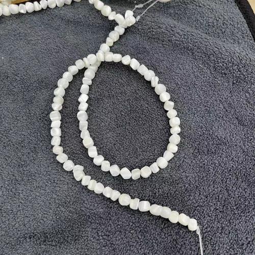 Trochus perles, Haut Coque, DIY, blanc mm, Environ Vendu par brin