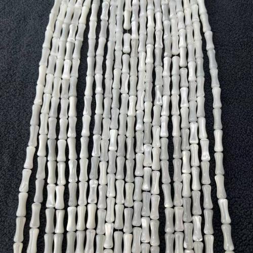 Trochus perles, Haut Coque, bambou, DIY, blanc Environ Vendu par brin