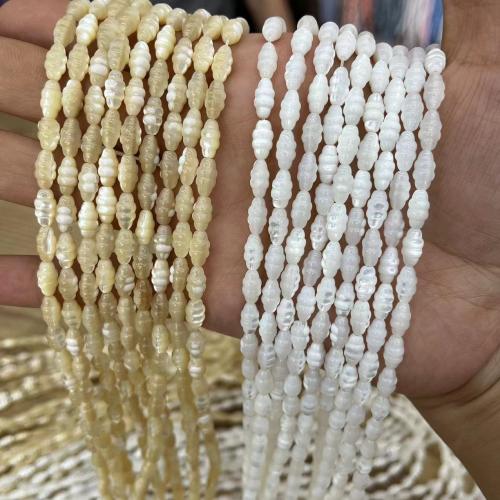 Trochus perles, Haut Coque, gravé, DIY, plus de couleurs à choisir Environ Vendu par brin