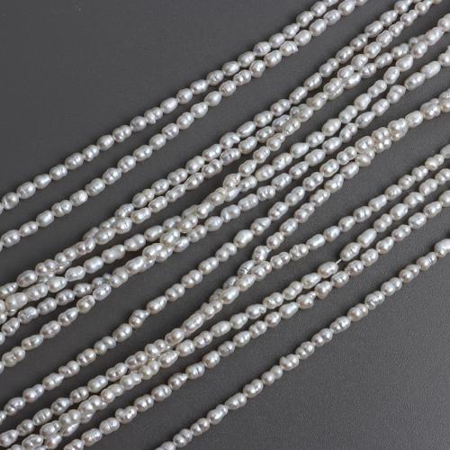 Perles nacres baroques de culture d'eau douce , perle d'eau douce cultivée, calebasse, DIY, blanc, About：3-4mm cm, Vendu par brin