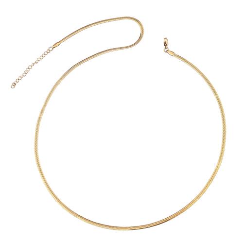Titanium Steel Necklace, Vacuum Ion Plating, Unisex & snake chain 