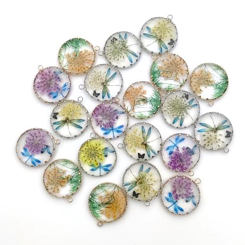 Resina colgantes de la aleación de Zinc, con Flores secas & aleación de zinc, Esférico, engomada de gota, enviado al azar & Bricolaje, color mixto, 25x25mm, Vendido por UD