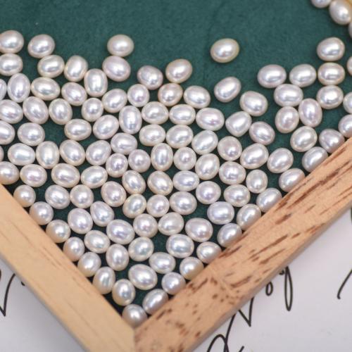 Perles nacres sans trou de culture d'eau douce, perle d'eau douce cultivée, riz, DIY, blanc, 5mm, Vendu par PC