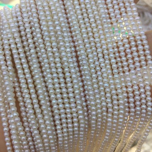 Perles de nacre rondes de culture d'eau douce, perle d'eau douce cultivée, DIY, blanc, About：2-3MM, Vendu par brin