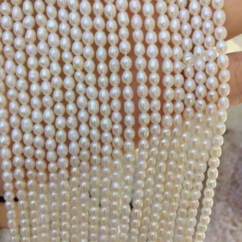 Природные стеклянные бусы, Ракушка, Рисообразная, DIY, белый, About：3-4MM, продается Strand