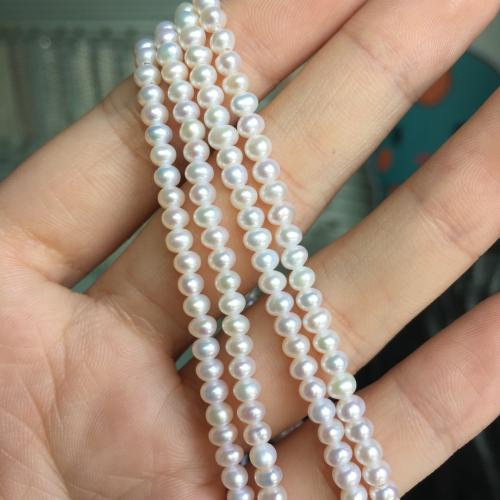 Perles de culture d'eau douce Keishi, perle d'eau douce cultivée, Plat rond, DIY, blanc, About：3-4mm, Vendu par brin