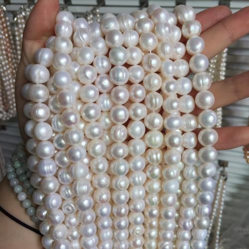 Perles de nacre rondes de culture d'eau douce, perle d'eau douce cultivée, DIY, blanc, About：11-12MM cm, Vendu par brin