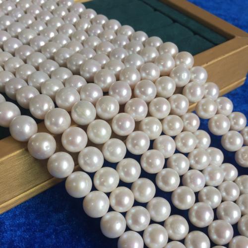 Perles de nacre rondes de culture d'eau douce, perle d'eau douce cultivée, DIY, blanc, About：10-11MM cm, Vendu par brin