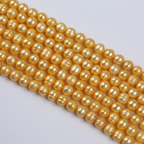 ポテト形の淡水養殖パール, 天然有核フレッシュウォーターパール, DIY, ゴールド, about：10-11mm, 売り手 ストランド[