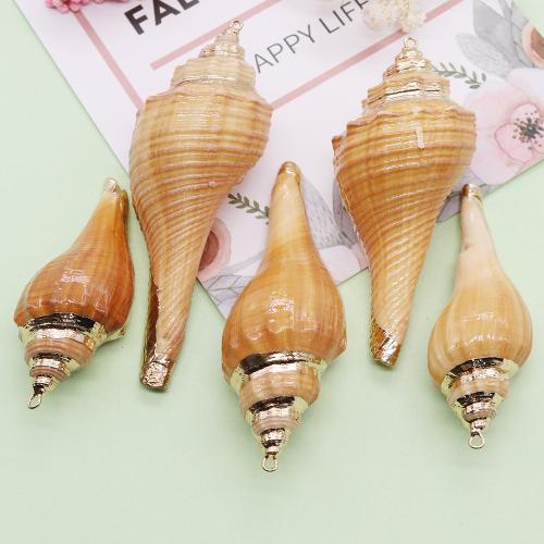 Trompette Shell pendentif en laiton, coquille de trompette, Placage de couleur d'or, DIY, about：30-85mm, Vendu par PC