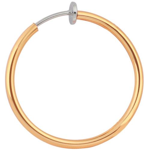 Brass Hoop Earring, plated, fashion jewelry 