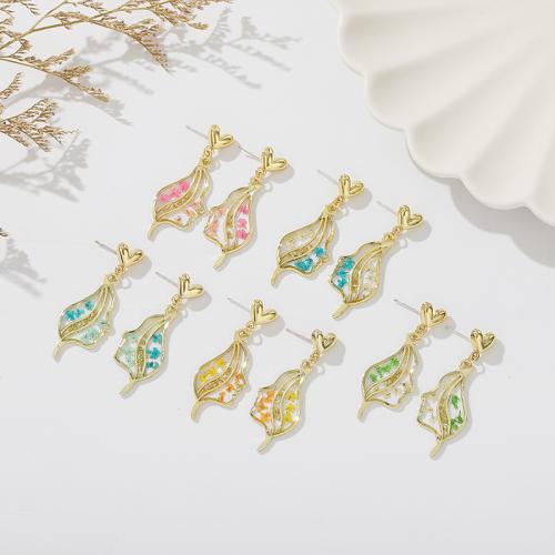 Resin Drop Earring, with Dried Flower & Zinc Alloy, Face, epoxy gel, fashion jewelry & for woman earring length 30-40mm 