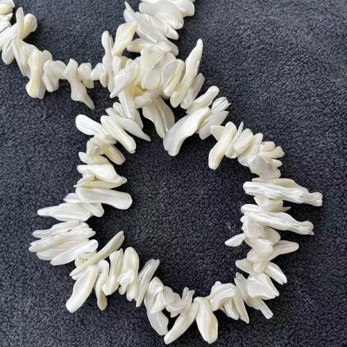 Natural Freshwater Shell Beads, DIY [