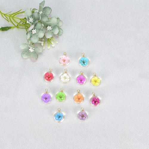 Glas Anhänger, mit Getrocknete Blumen & Messing, handgemacht, DIY & verschiedene Größen vorhanden, keine, verkauft von PC[