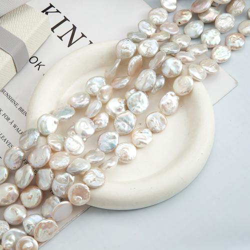 perle d'eau douce cultivée goutte, pièce de monnaie, DIY, blanc Vendu par brin[