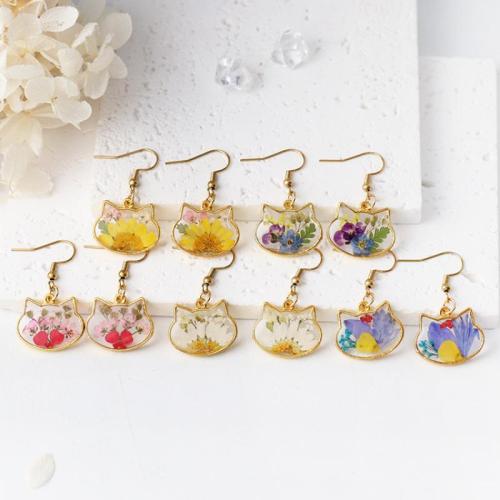 Zinc Alloy Drop Earring, with Dried Flower & Resin & 304 Stainless Steel, epoxy gel, fashion jewelry & for woman, golden 
