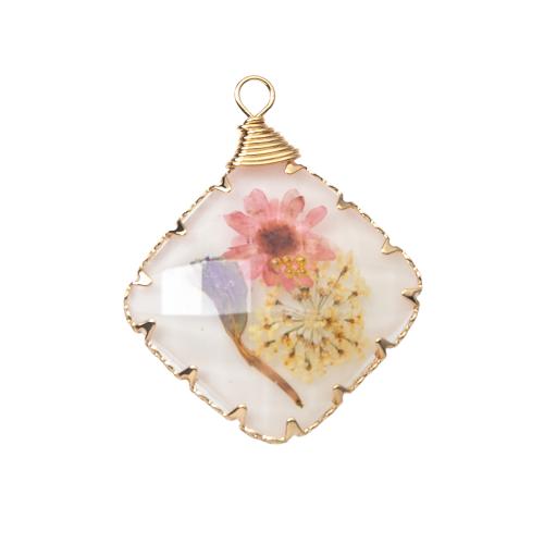 Resin Pendant, with Dried Flower & Brass, plated, DIY, mixed colors 