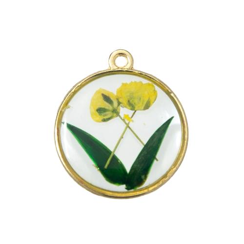 Resin Pendant, with Dried Flower & Brass, plated, DIY, mixed colors 