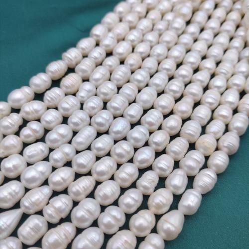 perle d'eau douce cultivée goutte, Irrégulière, DIY, blanc Vendu par brin