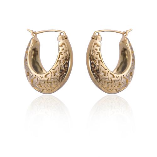 Stainless Steel Leverback Earring, 304 Stainless Steel, plated, fashion jewelry & for woman 