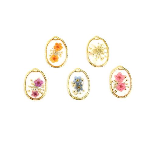 résine Pendentif, avec Fleurs séchées & alliage de zinc, ellipse, Placage, DIY, plus de couleurs à choisir Vendu par PC