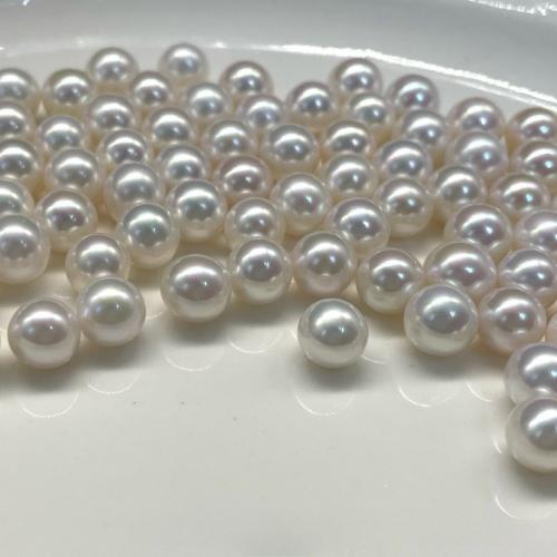 Perles nacres sans trou de culture d'eau douce, perle d'eau douce cultivée, Rond, DIY & aucun trou, blanc Vendu par PC