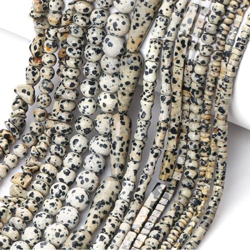 Dalmate goutte, DIY & normes différentes pour le choix, Vendu par brin