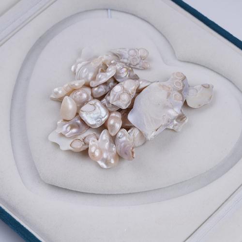 Perles nacres sans trou de culture d'eau douce, perle d'eau douce cultivée, Irrégulière, DIY & aucun trou, blanc Vendu par sac