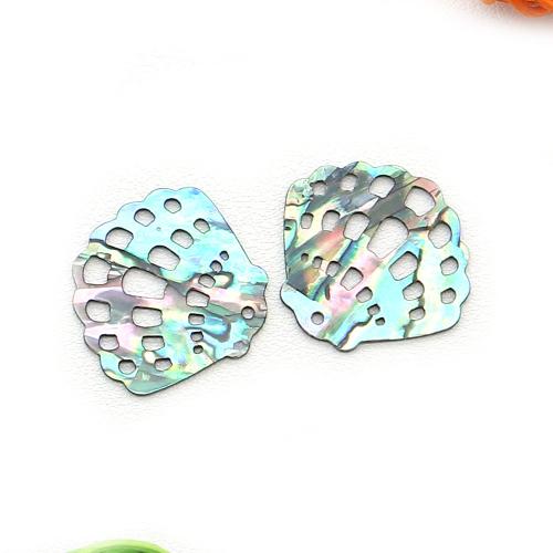 Abalone Shell Pendant, natural & DIY & hollow [