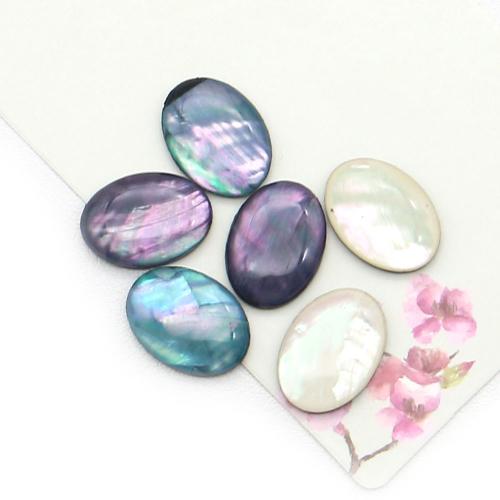 Abalone Shell Cabochon, with Resin, DIY [
