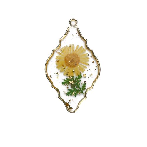 Resin Brass Pendants, Zinc Alloy, with Dried Flower & Resin, Rhombus, gold color plated, DIY, mixed colors 