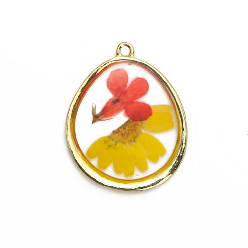 Resin Brass Pendants, with Dried Flower & Resin, plated, DIY, mixed colors 