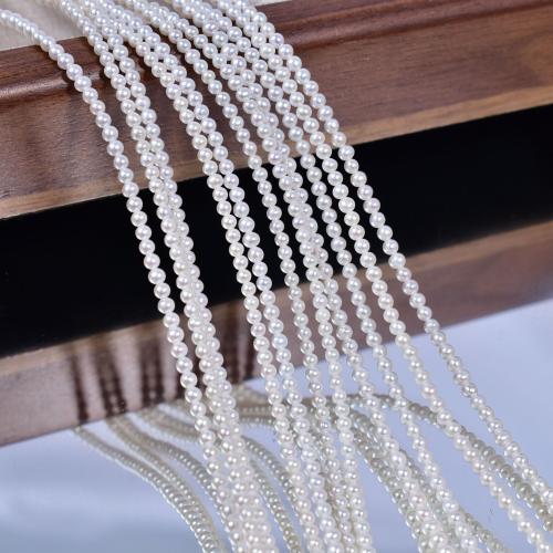 Naturel d'eau douce perles, perle d'eau douce cultivée, Légèrement rond, DIY, blanc, 2-3mm Environ 40 cm, Vendu par brin