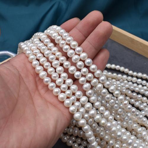 Naturel d'eau douce perles, perle d'eau douce cultivée, Légèrement rond, DIY, blanc Environ 36 cm, Vendu par brin