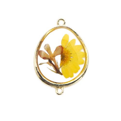 Resin Jewelry Connector, Brass, with Dried Flower & Resin, plated, DIY, mixed colors 