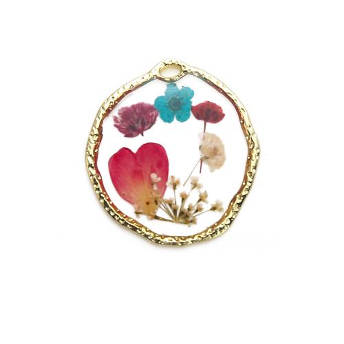 Resin Brass Pendants, with Dried Flower & Resin, plated, DIY, mixed colors Inner Approx 1mm 