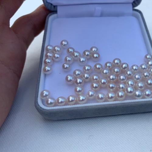 Perles nacres sans trou de culture d'eau douce, perle d'eau douce cultivée, Rond, DIY & aucun trou, blanc, 5-6MM, Vendu par PC