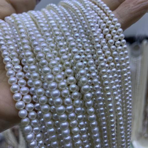 Naturel d'eau douce perles, perle d'eau douce cultivée, ovale, DIY, blanc, 3-5mm cm, Vendu par brin[