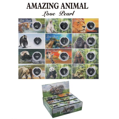 Kit de perles Oyster & Wish, perle d'eau douce cultivée, avec laiton, Placage, bijoux de mode, plus de couleurs à choisir, 6-7mm, Vendu par fixé