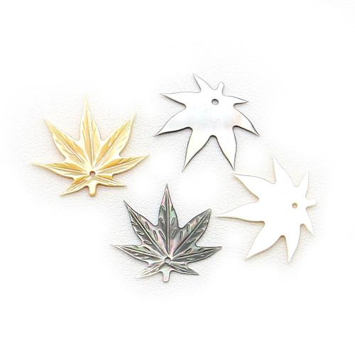 Natürlichen Muschel -Anhänger, Ahornblatt, DIY, keine, 23x35mm, verkauft von PC