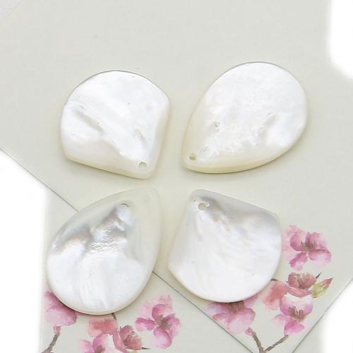 Natürlichen Muschel -Anhänger, Weiße Lippenschale, DIY, weiß, verkauft von PC