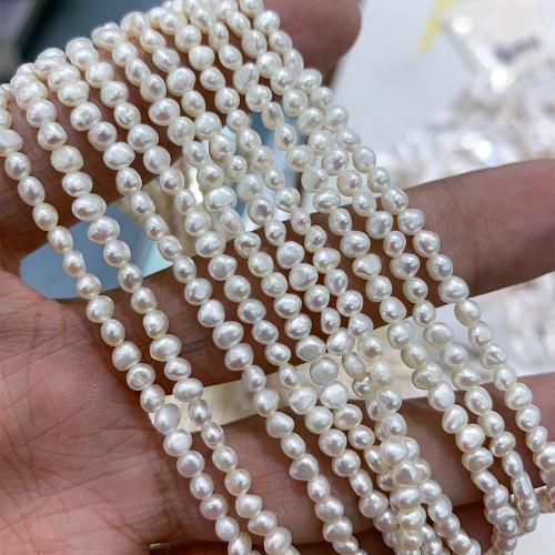 Perles nacres baroques de culture d'eau douce , perle d'eau douce cultivée, DIY, blanc, 2-3MM cm, Vendu par brin[