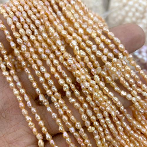Perles nacres baroques de culture d'eau douce , perle d'eau douce cultivée, DIY, Jaune, 2-3MM cm, Vendu par brin[