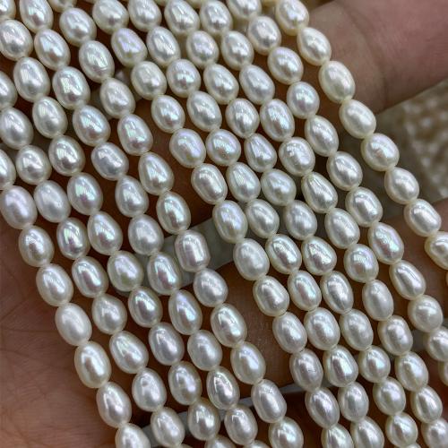 Perles d'eau douce de culture de riz, perle d'eau douce cultivée, DIY, blanc, 4-5MM cm, Vendu par brin