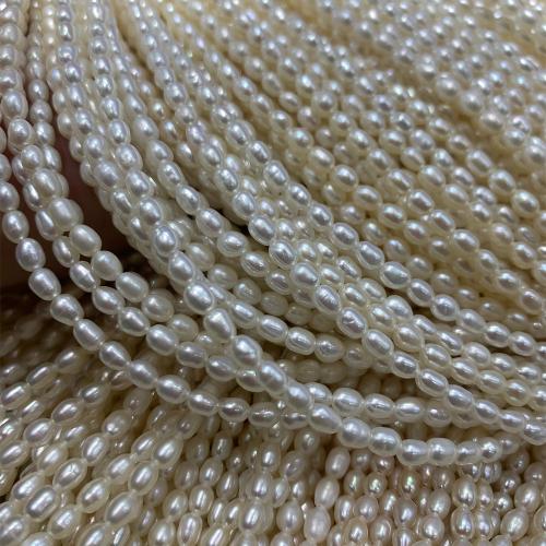 Perles d'eau douce de culture de riz, perle d'eau douce cultivée, DIY, blanc, 3-4MM cm, Vendu par brin