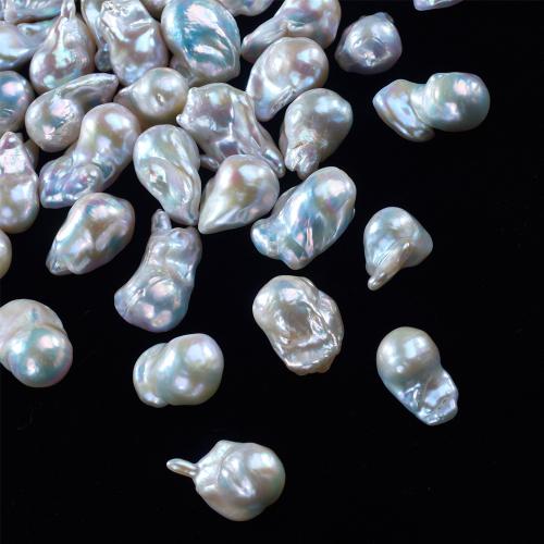 Perles nacres baroques de culture d'eau douce , perle d'eau douce cultivée, DIY, plus de couleurs à choisir, 宽14-18MM  长20-30MM, Vendu par PC[