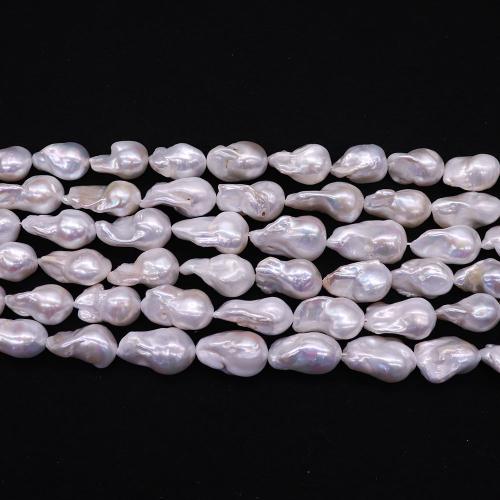 Perles nacres baroques de culture d'eau douce , perle d'eau douce cultivée, DIY, blanc -18mmx28mm cm, Vendu par brin